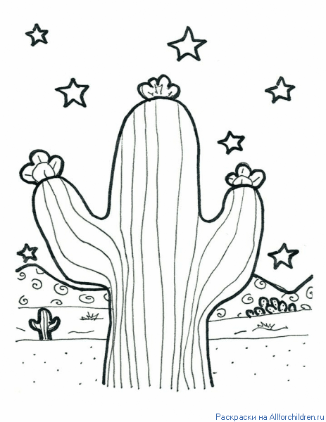 Barrel Cactus Coloring Page Coloring M Coloring Pages