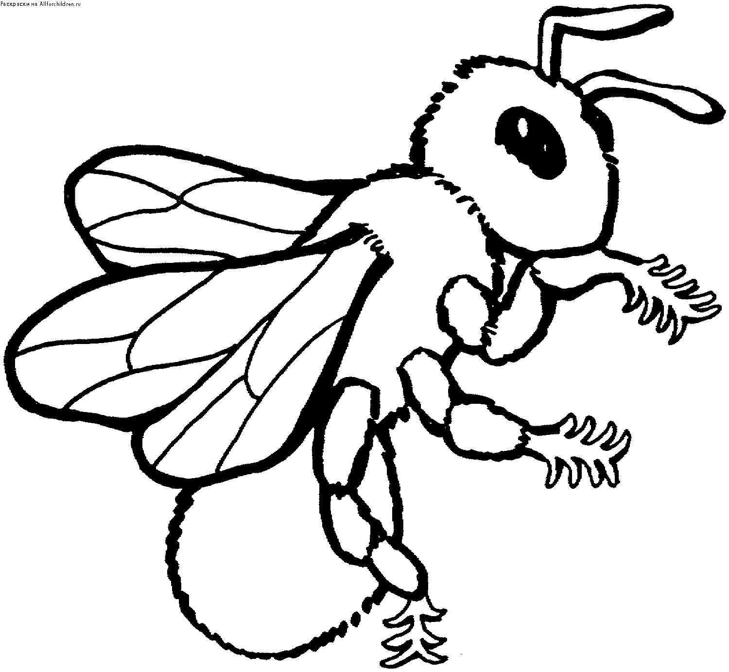 Раскраска насекомое ребенку 4 года. Пчела раскраска. Пчела раскраска для детей. Раскраска насекомые для малышей. Насекомые раскраска для детей.