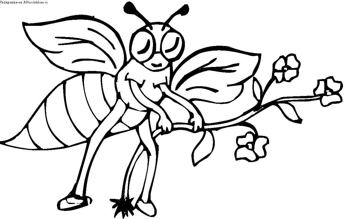 Муха цокотуха раскраска для детей. Пчела раскраска. Пчела раскраска для детей. Раскраска насекомые пчела. Шмель раскраска для детей.