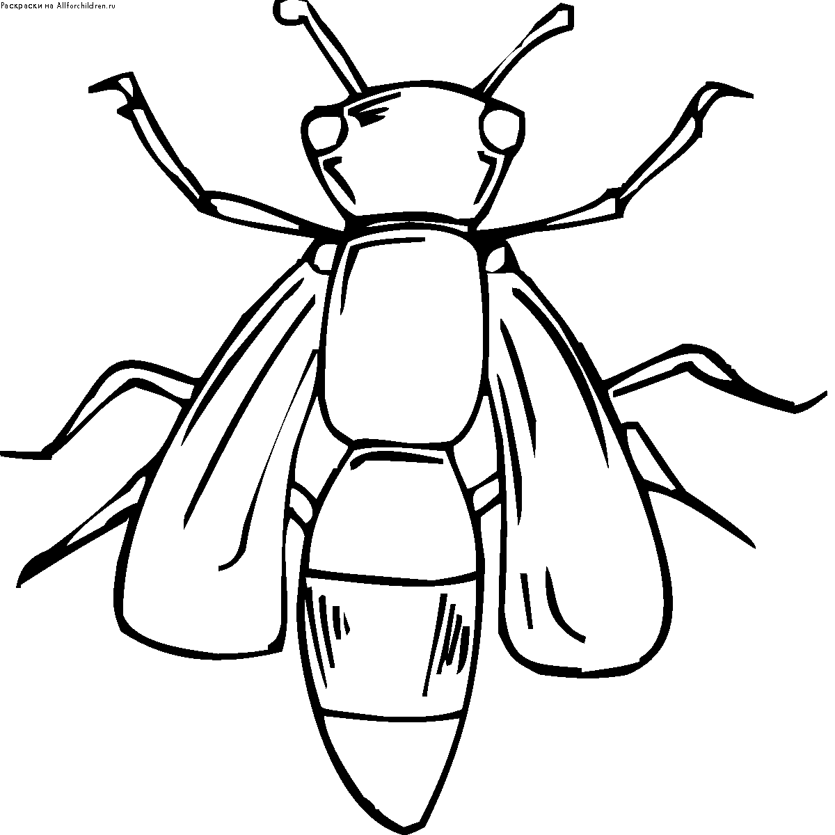 Рисунки насекомых. Насекомые. Раскраска. Насекомые раскраска для детей. Жук раскраска. Насекомые для раскрашивания детям.