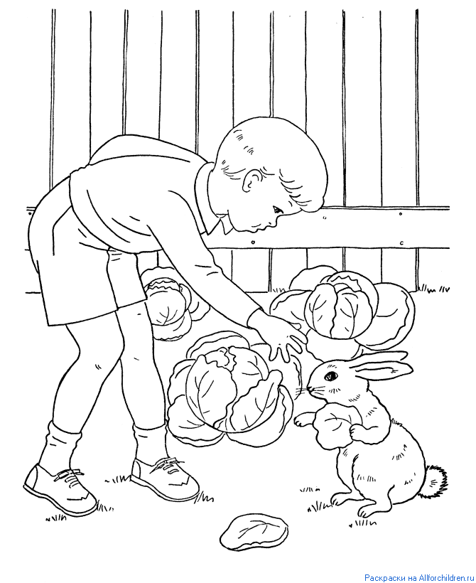 Мальчик встретил зайку-воришку в огороде
