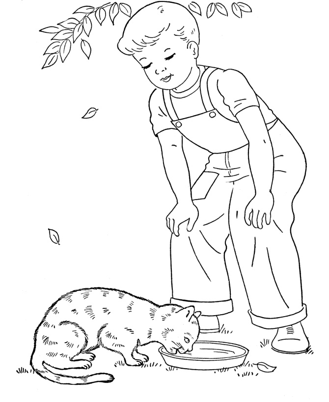 �����, �����, �������