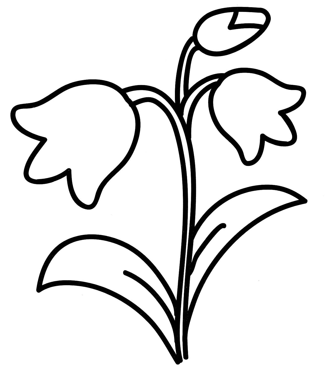 Как нарисовать цветок Ирис. простой рисунок и раскраска.