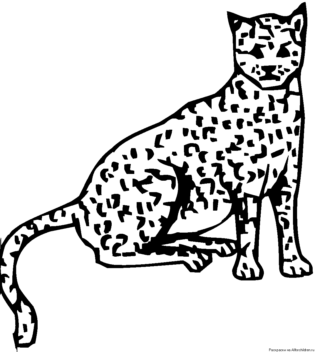 Дымчатый леопард раскраска