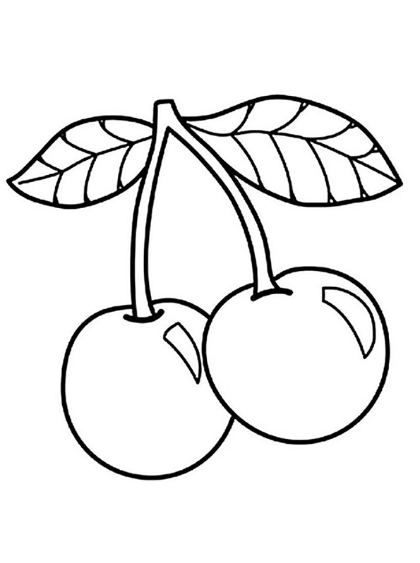 Плоды вишни - костянки