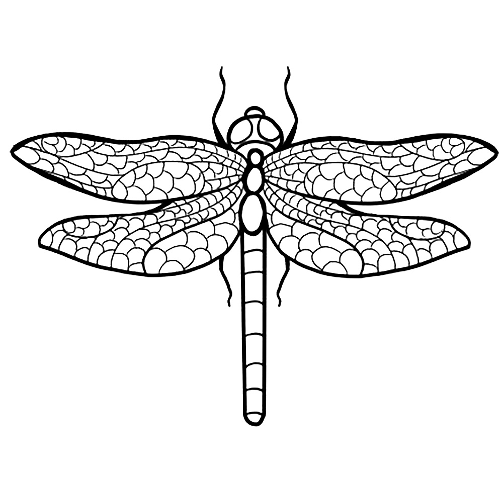  (. Odonata)S