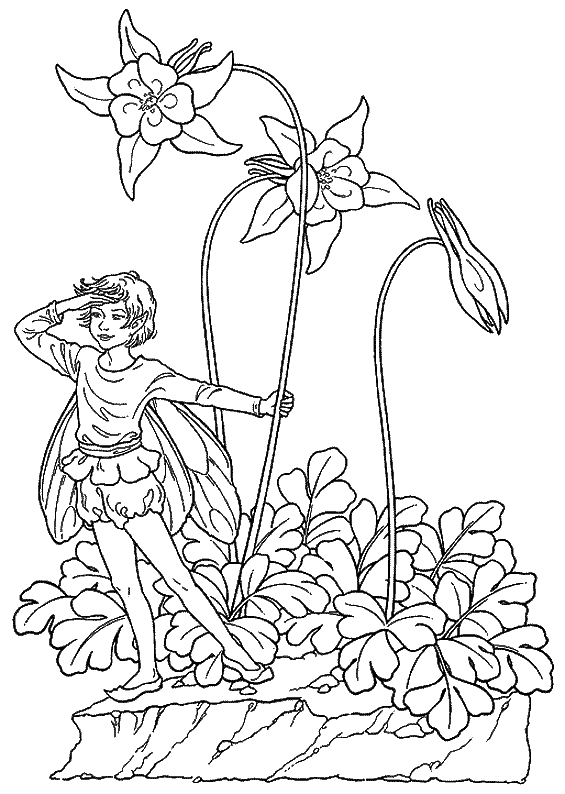 Эльф и цветы водосбора
