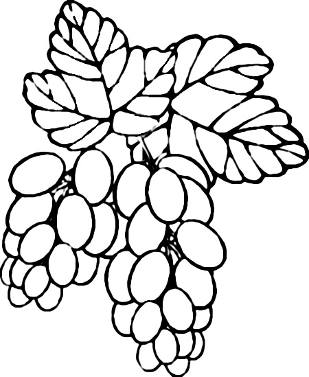 Две грозди винограда