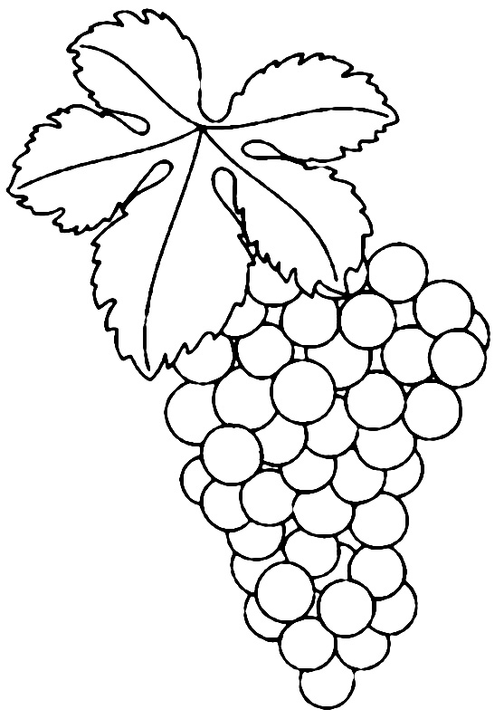 Кисть винограда с листом