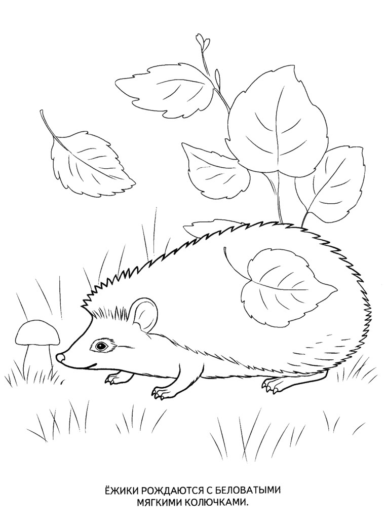 ����� ��������� � ���������� ������� ���������