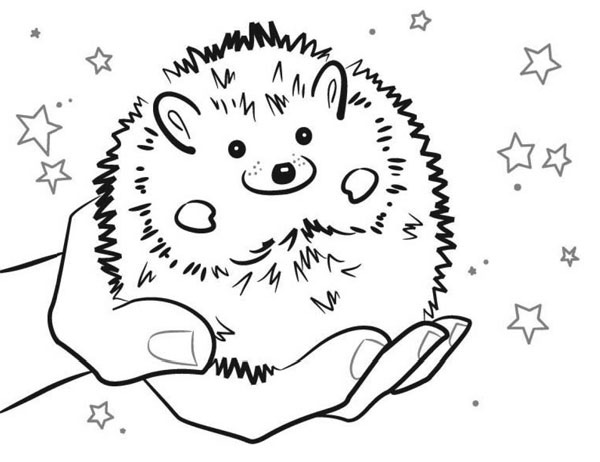 ���� � �������