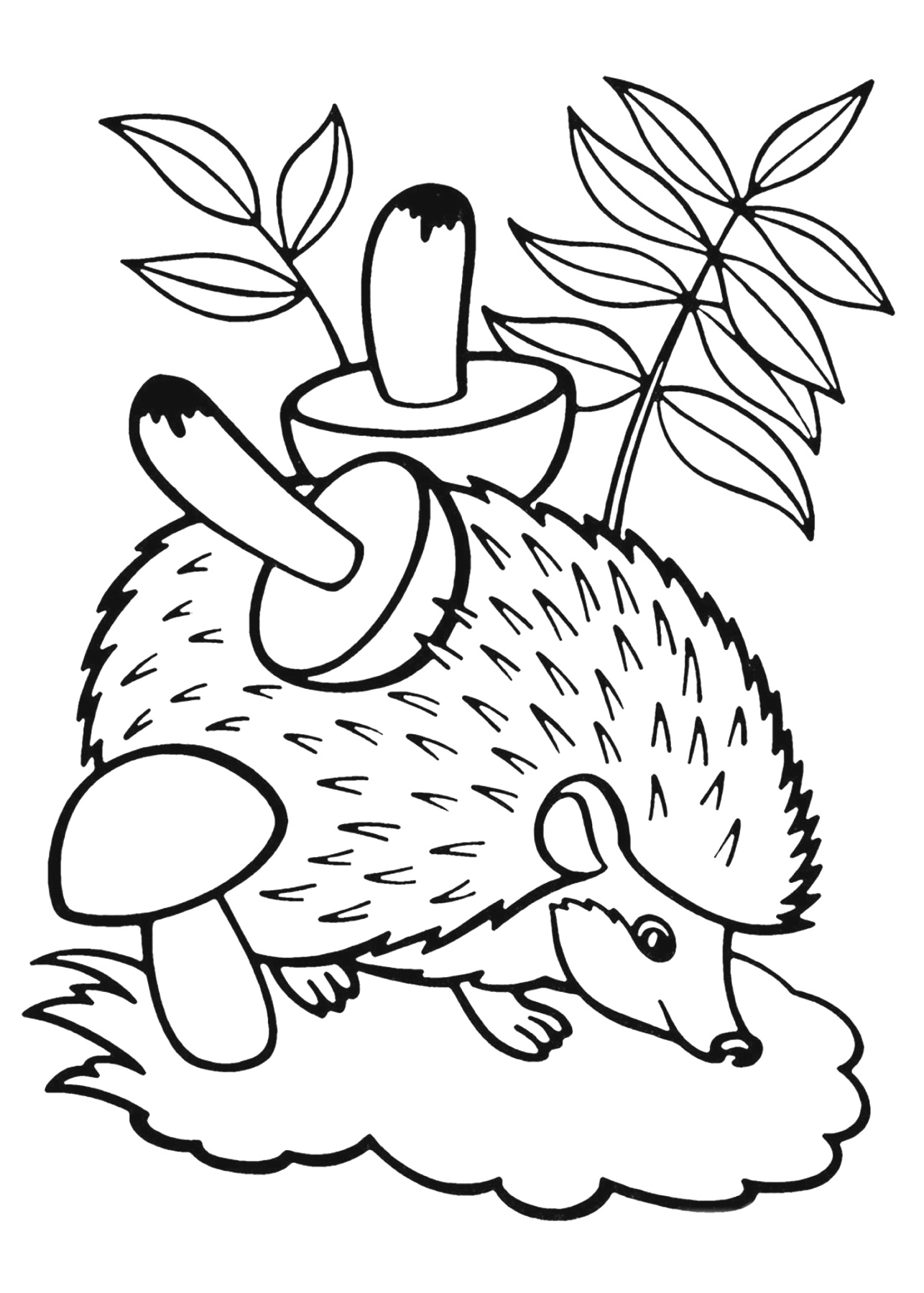 ���� � ����� ����������