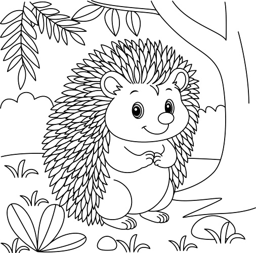 ����� ���� ��� ������� � ����