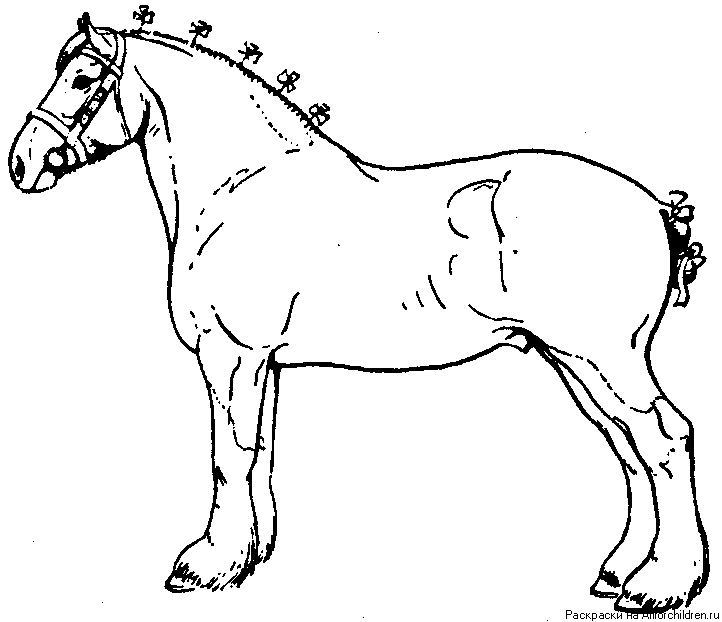 Хаги ваги 3 раскраска. Раскраска. Лошади. Лошадь раскраска для детей. Раскраска лошадь тяжеловоз. Лошадь картинка для детей раскраска.