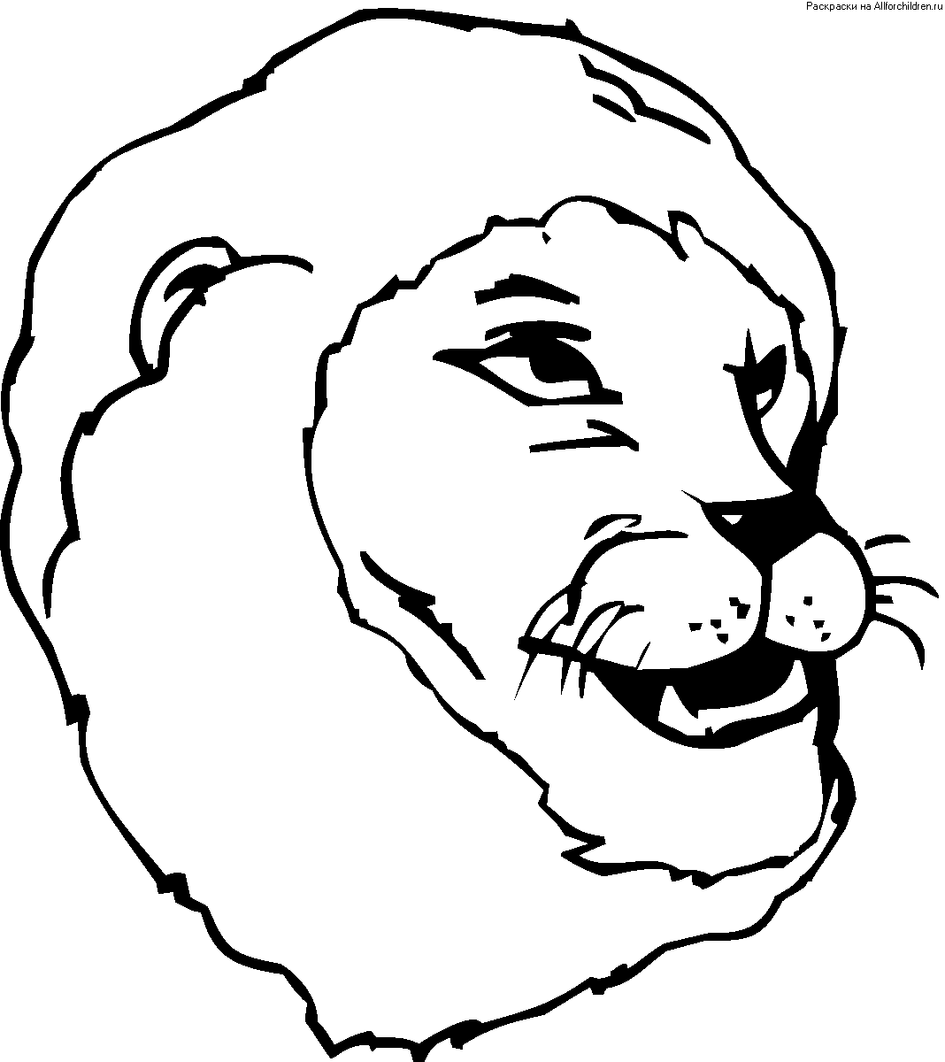 Лев улыбается