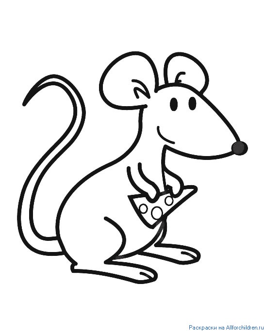 Крыса — раскраска для детей. Распечатать бесплатно.