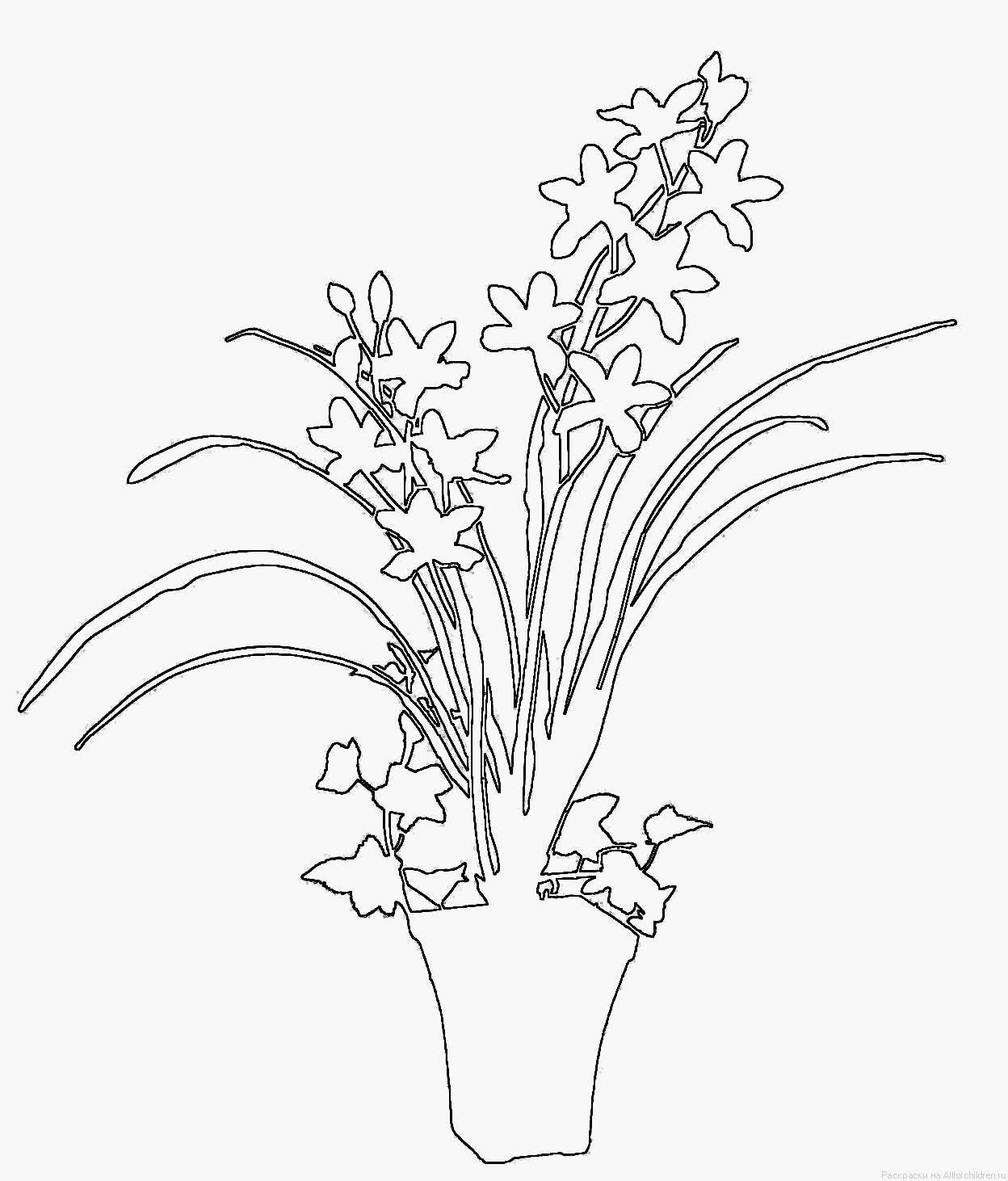 Орхидеи</span>