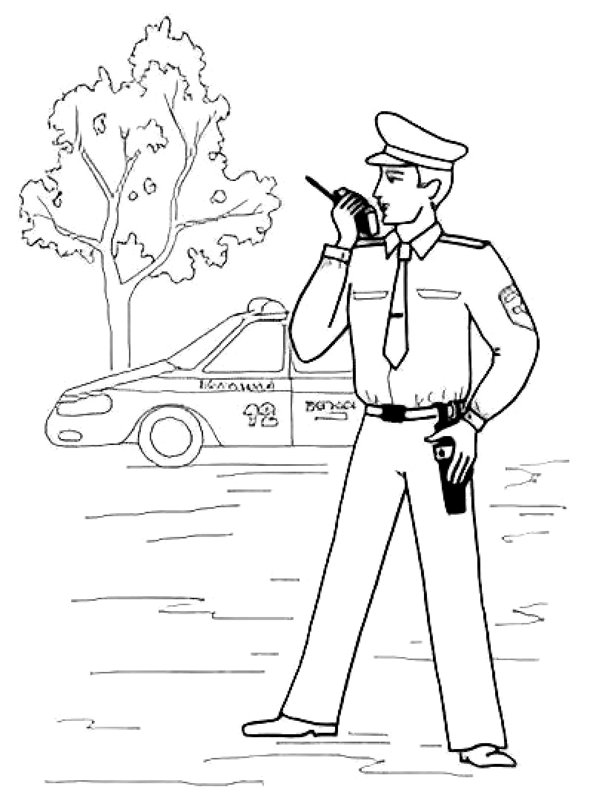 ���������� ������������ �� �����