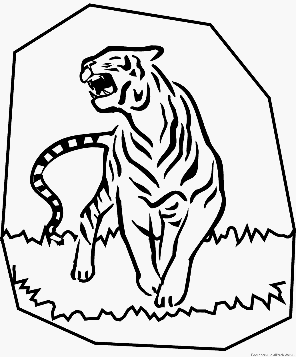 Назад в рубрику раскрасок "Тигры". 