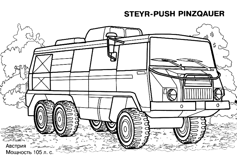 STEYR-PUSH PINZQAUER