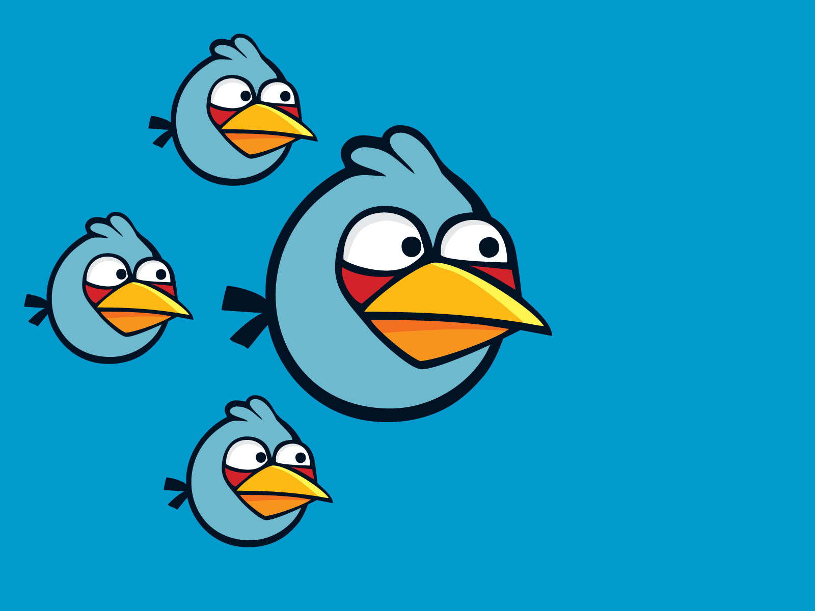 Angry Birds:      !