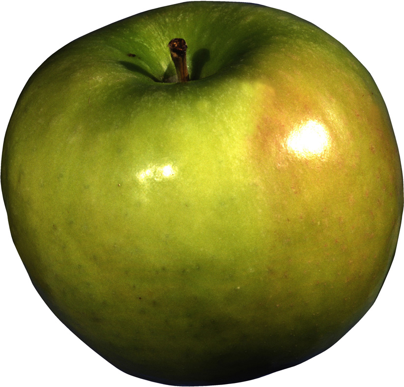 Зеленое яблоко с румяным бочком