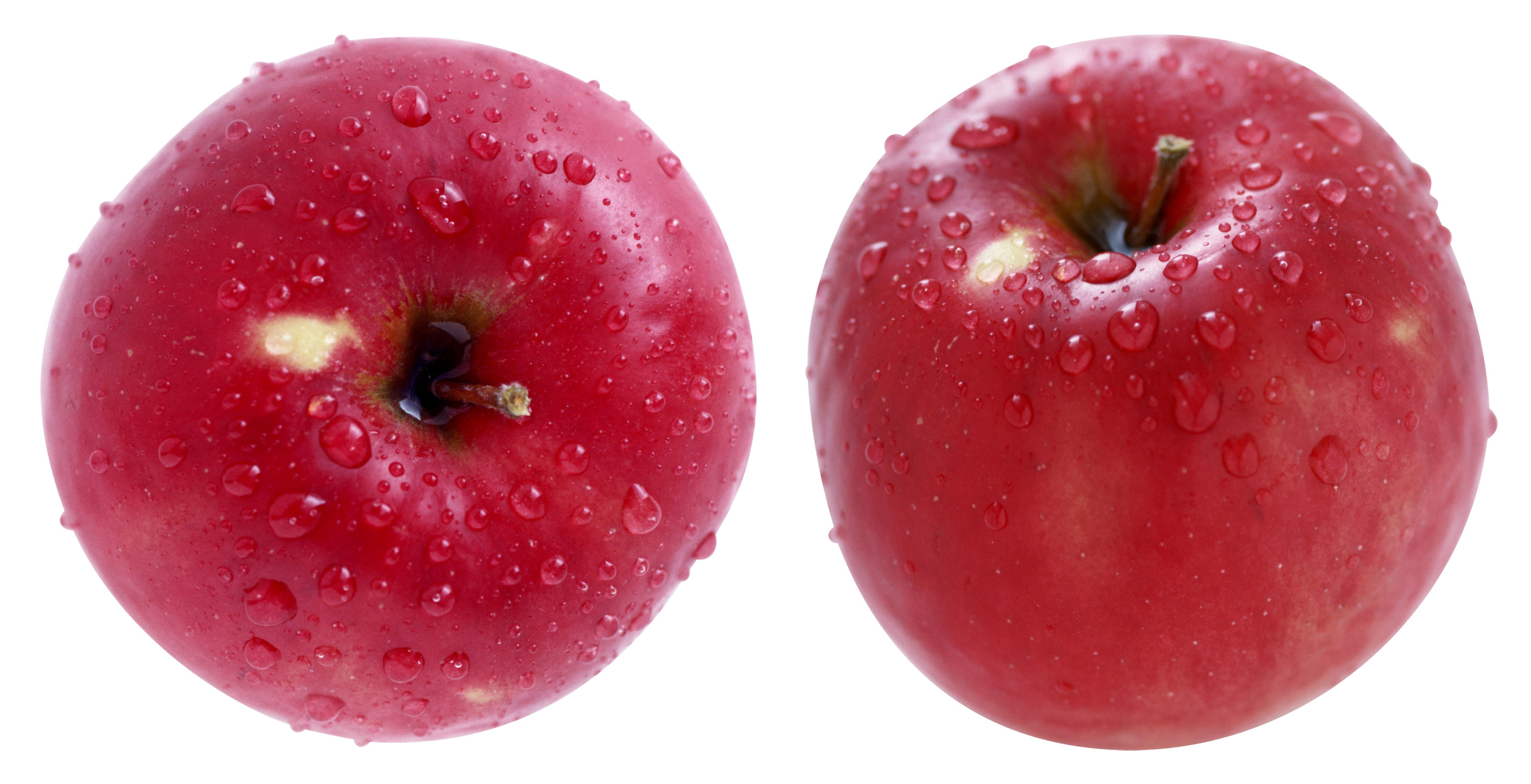Два красных яблока с капельками воды