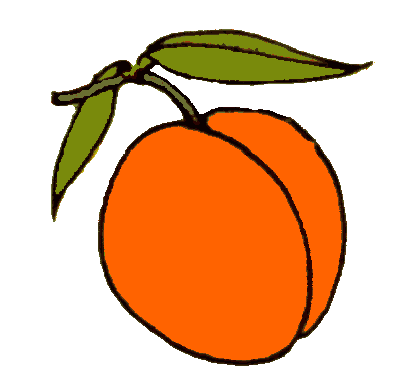 Картинка абрикос для детей в детском саду