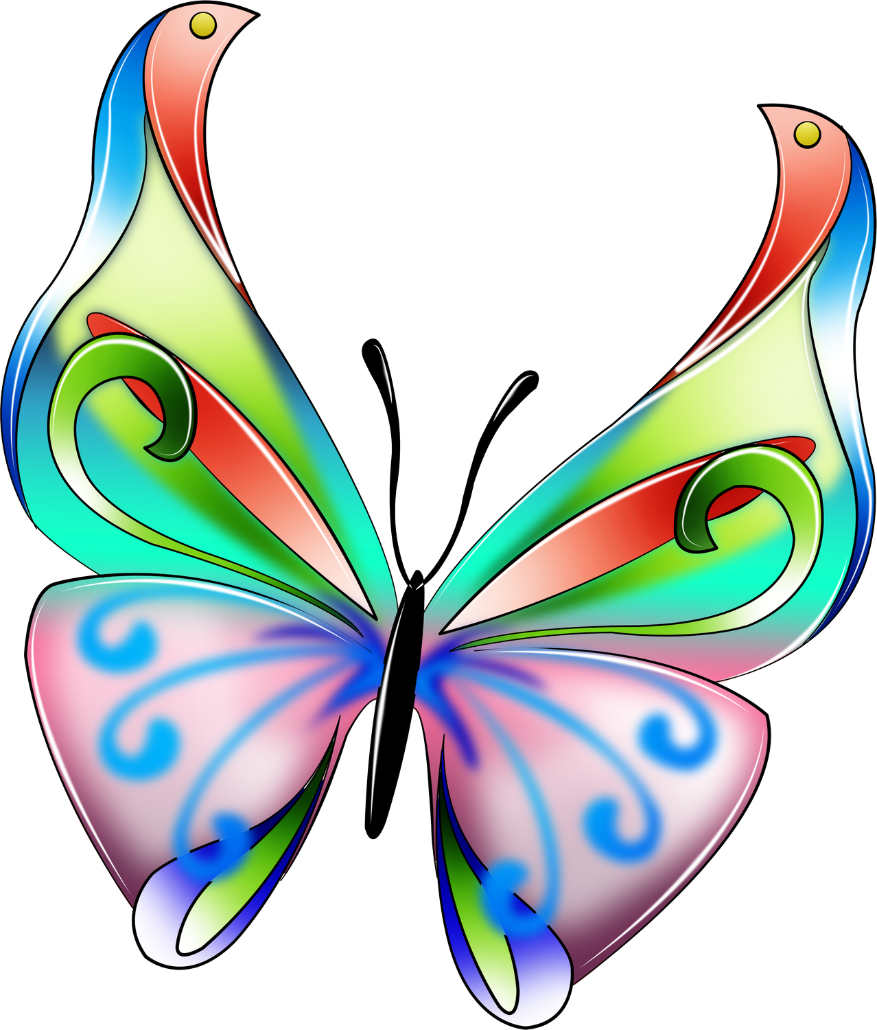 Картинки бабочек красивых цветных
