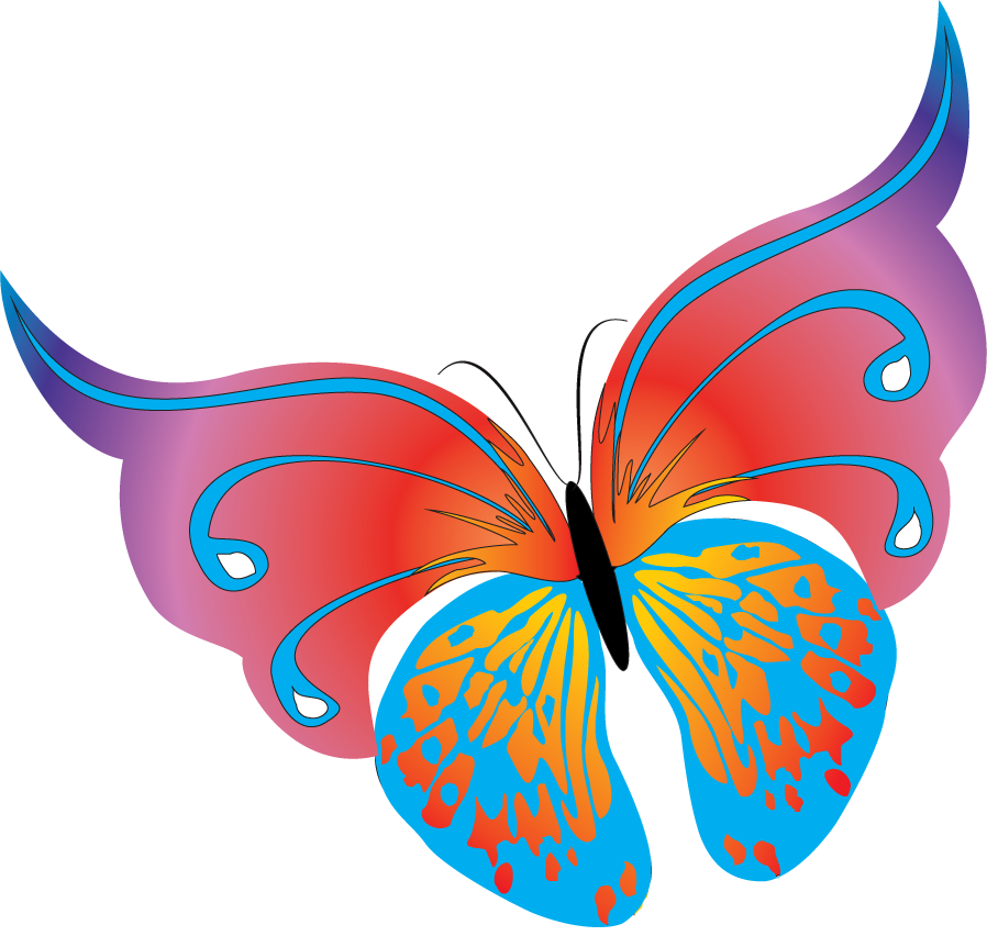 Бабочка скопировать. Бабочка рисунок. Красивые бабочки на прозрачном фоне. Бабочки нарисованные на прозрачном фоне. Бабочка картинка для детей.
