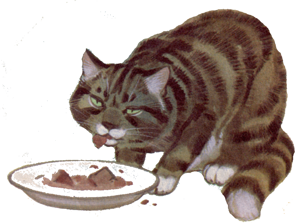 Без кашке. Кот кушает. Кошка лакает молоко. Кот в миске с молоком. Кот ест иллюстрация.
