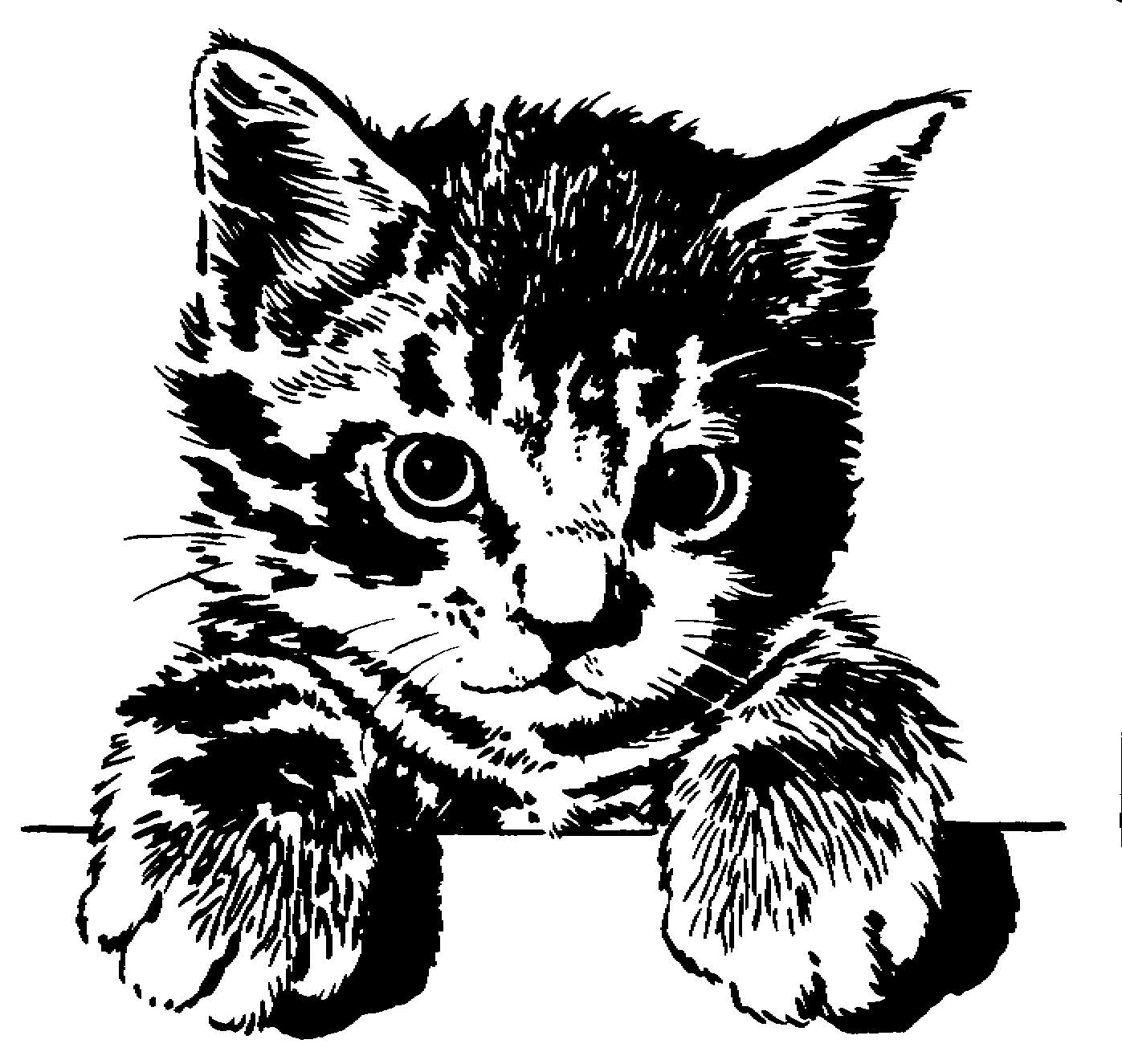 Черно белые картинки котят. Котенок для выжигания. Котик рисунок. Трафарет для выжигания кошки. Черно белые рисунки.