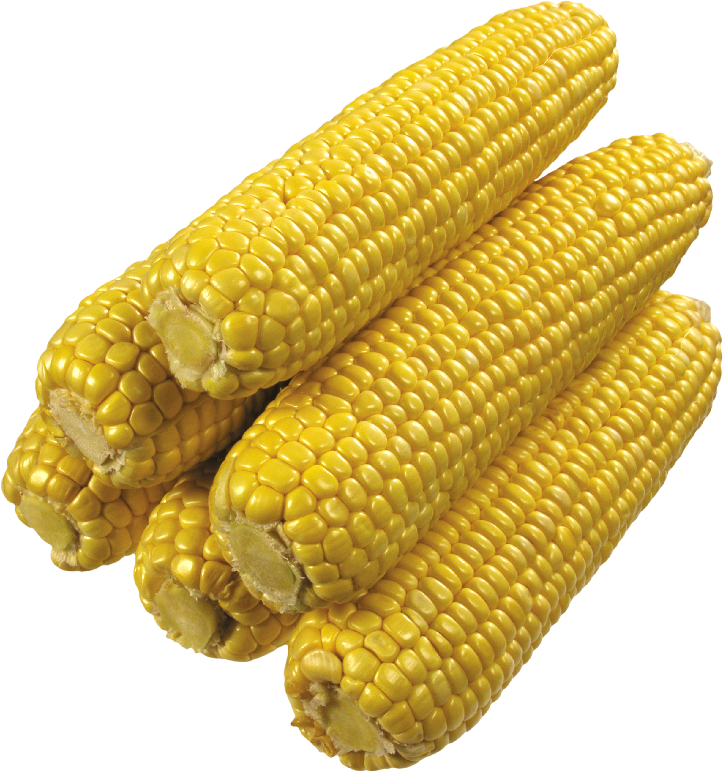 Шесть очищенных початков кукурузы