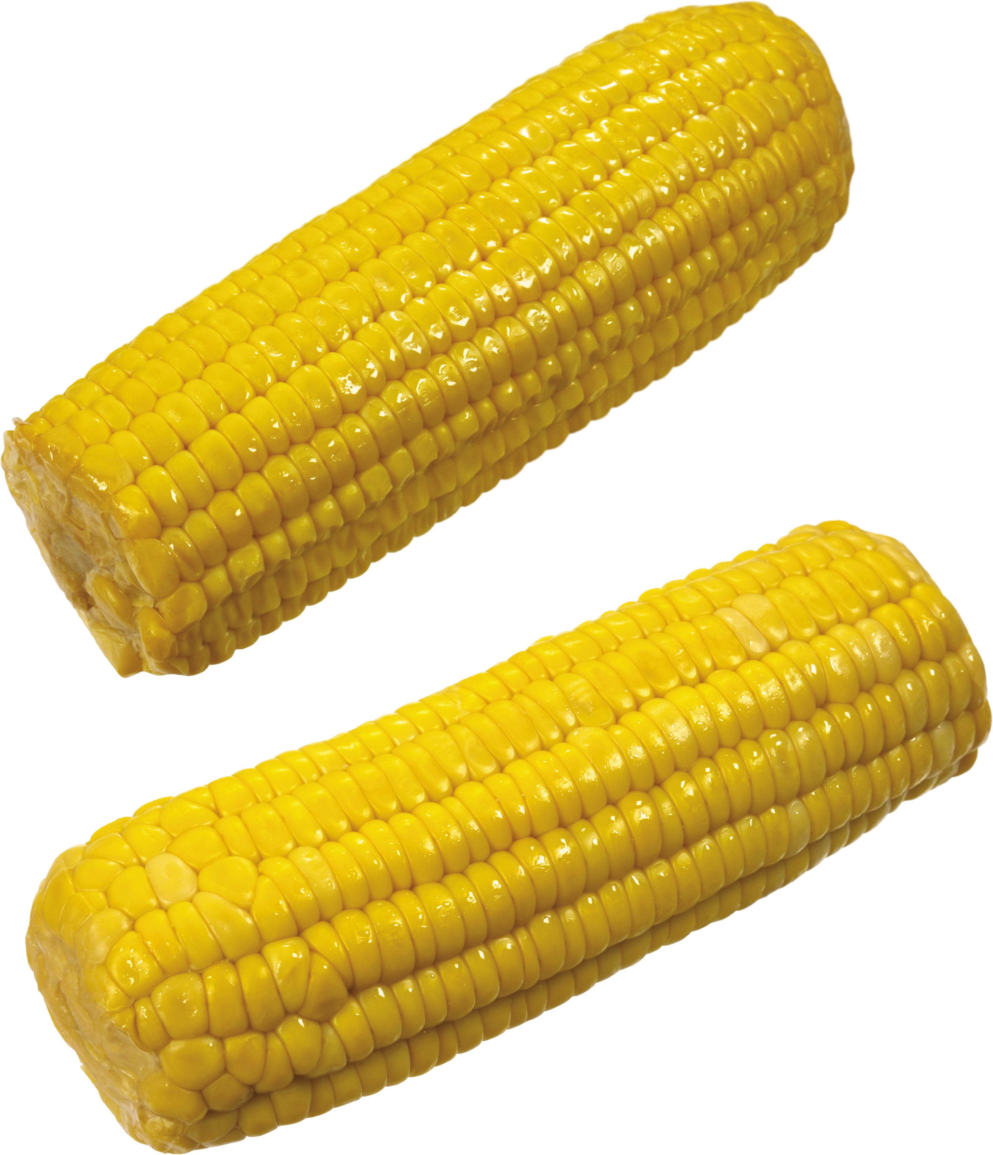 Два початка кукурузы с отрезанными кончиками