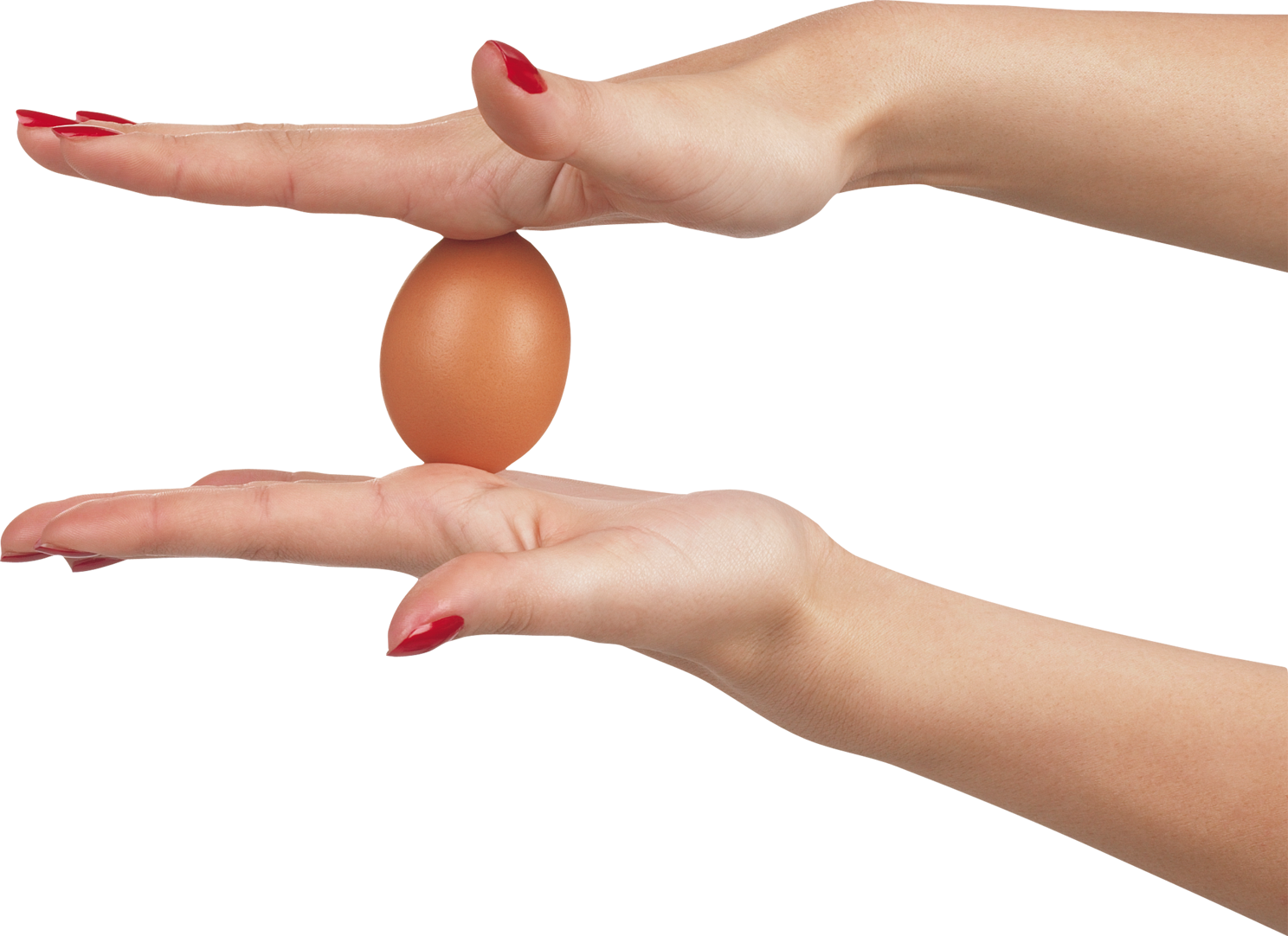 Яйцо в руке