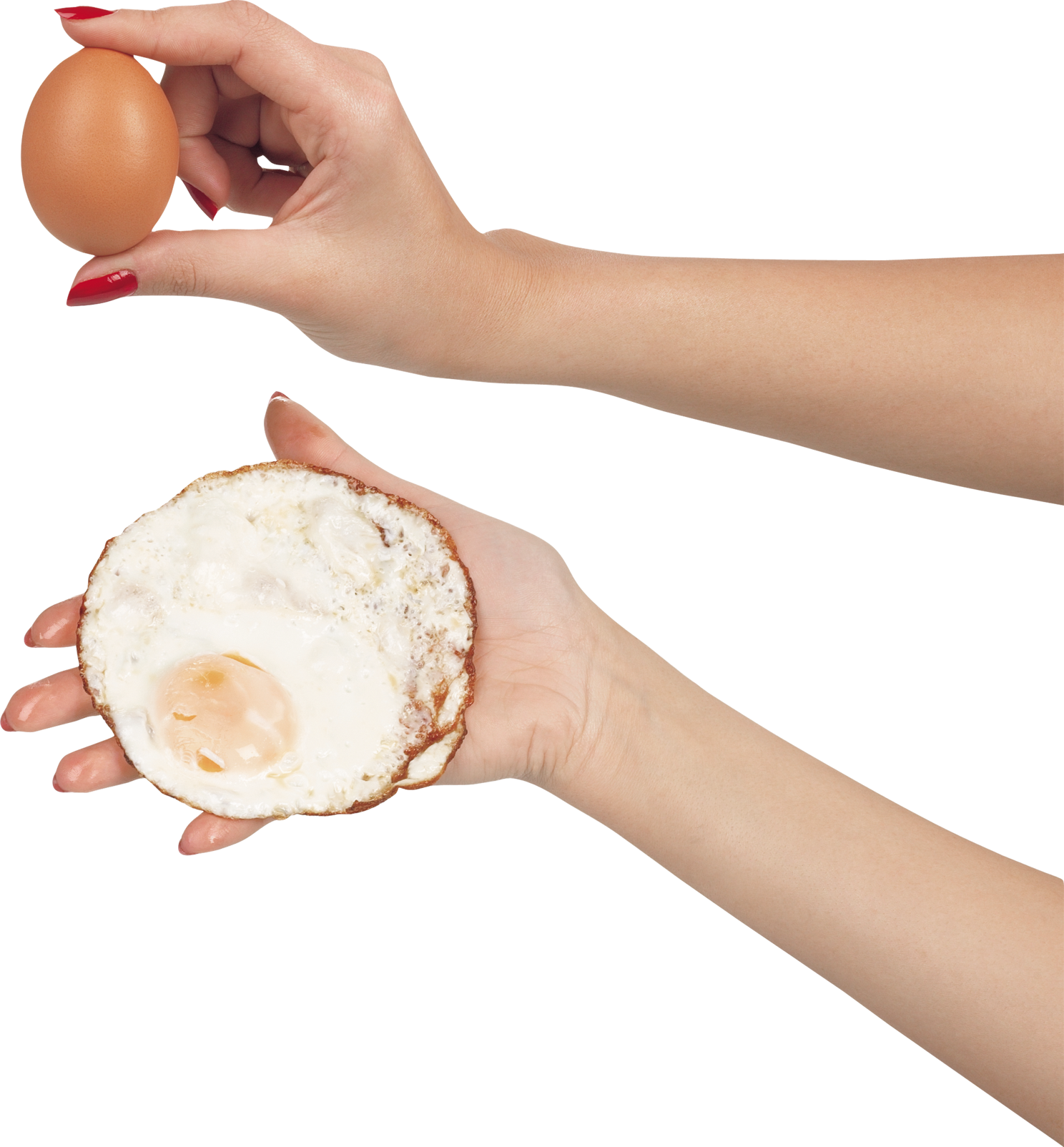 Яйцо и яичница