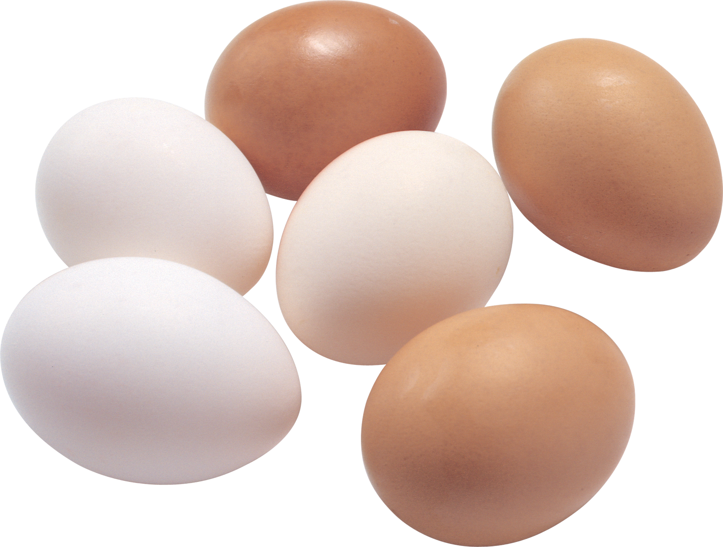 Шесть яиц - 3 белых и 2 коричневых
