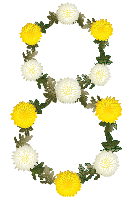 Восьмёрка из белых и жёлтых хризантем