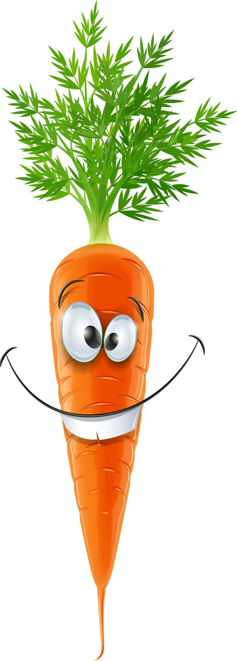 Морковь картинка на белом фоне для детей