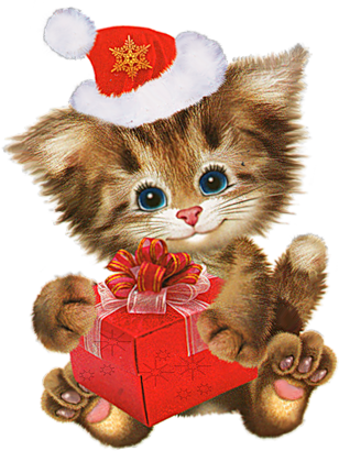 Котенок в новогоднем колпачке с подарком