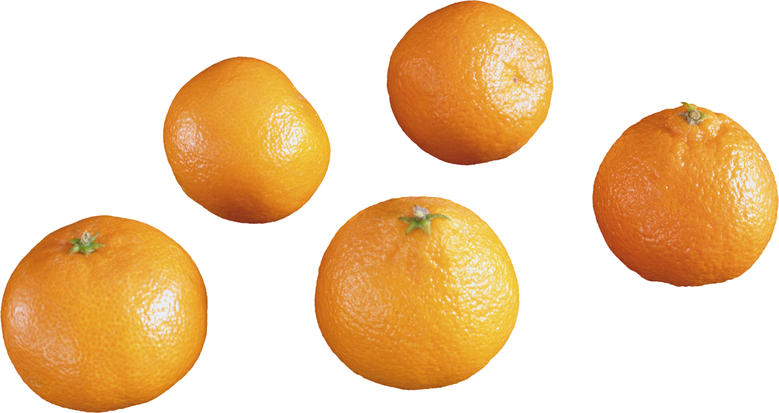 У отца есть 5 различных апельсинов. Фрукты круглой формы. Апельсин на белом фоне. Апельсин на прозрачном фоне. Мандарин на белом фоне.