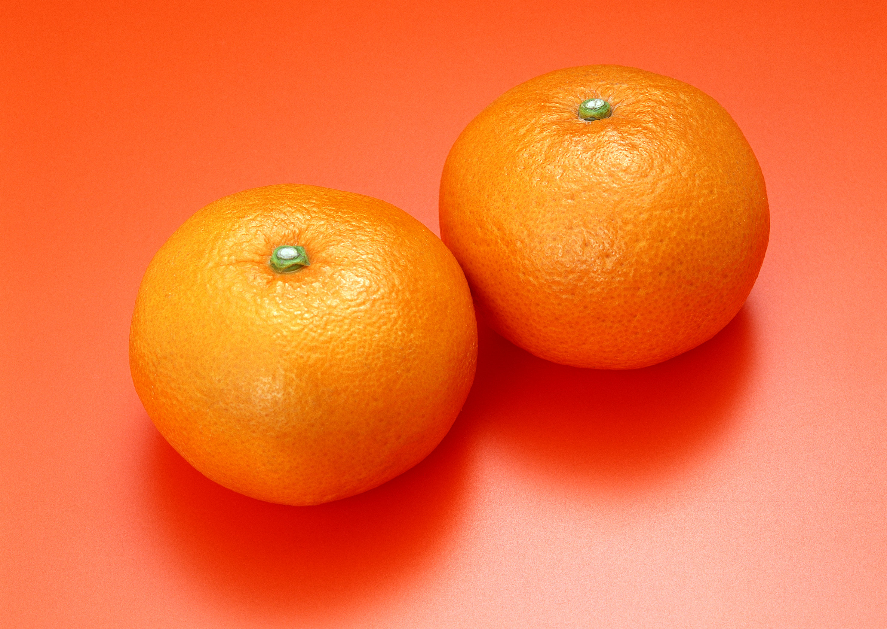 Апельсин новые слова. Мандарины Минеола. Апельсин Orange мандарин. Танжерин фрукт. Цитрус мандарин 1.