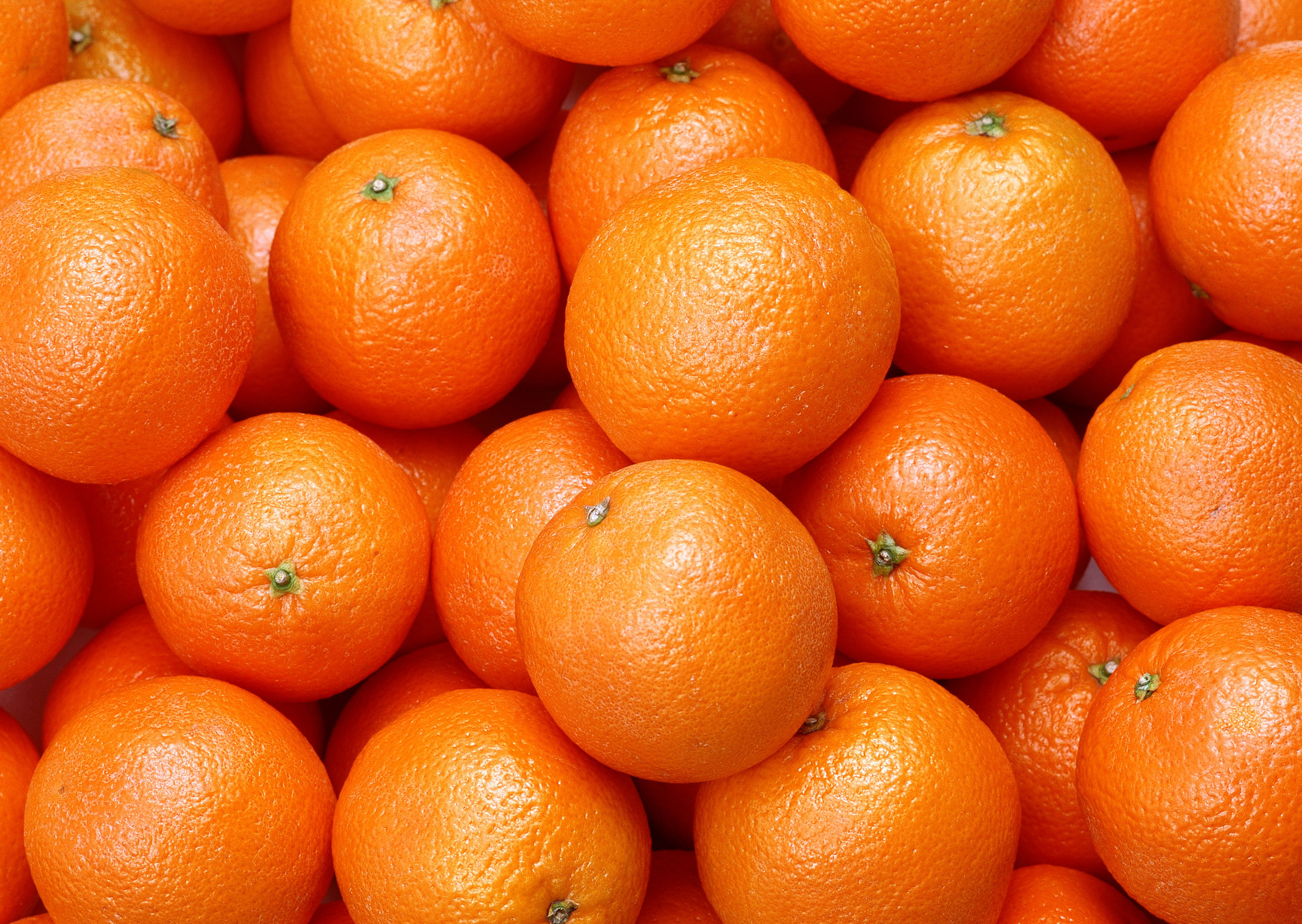 Апельсин новые слова. Апельсин Навелин. Померанец оранж. Померанец апельсин. Померанец цвета оранж.