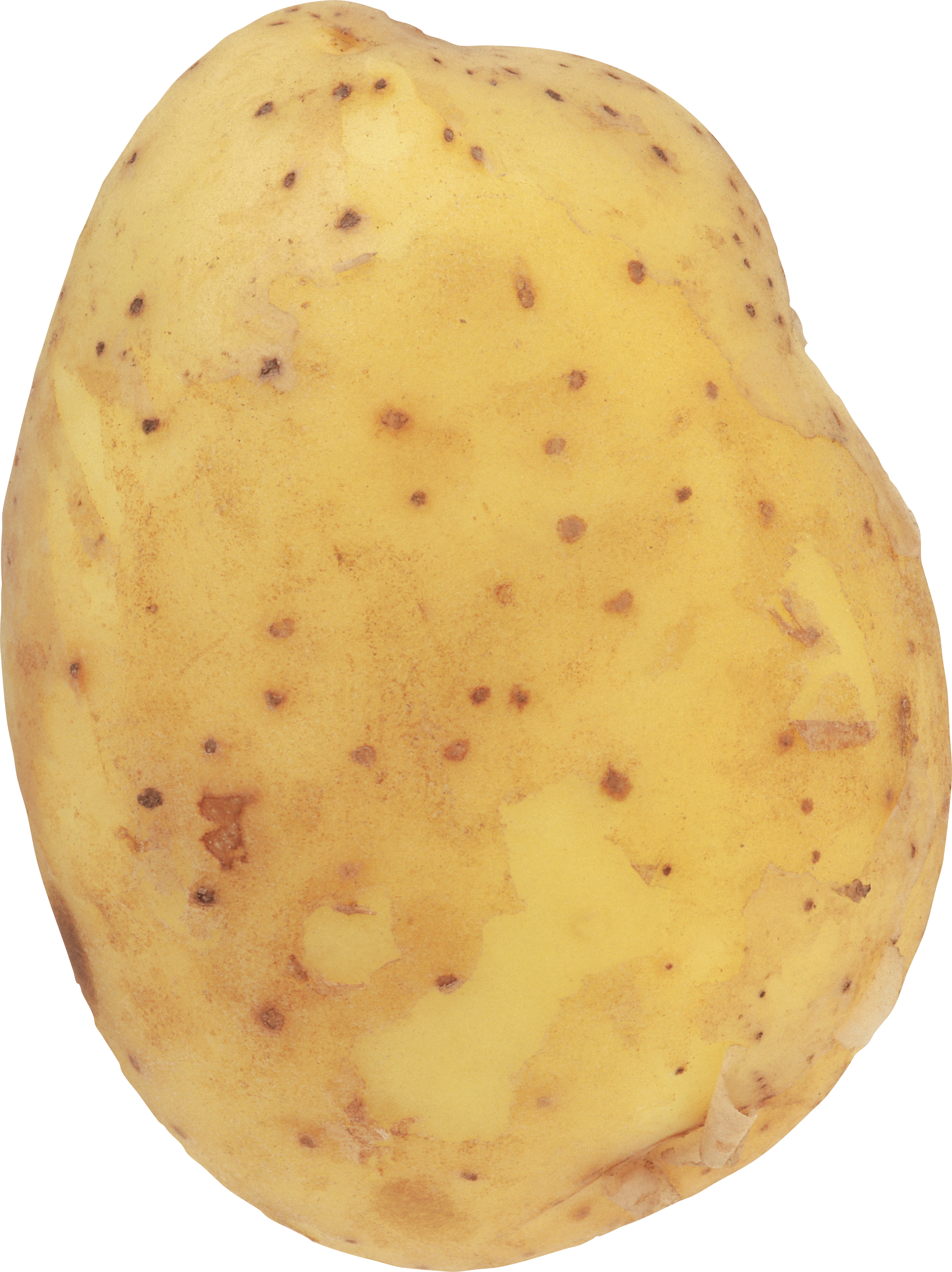 Картошка. Картошка без фона. Картошка на белом фоне. Картошка одна. Potatoes picture