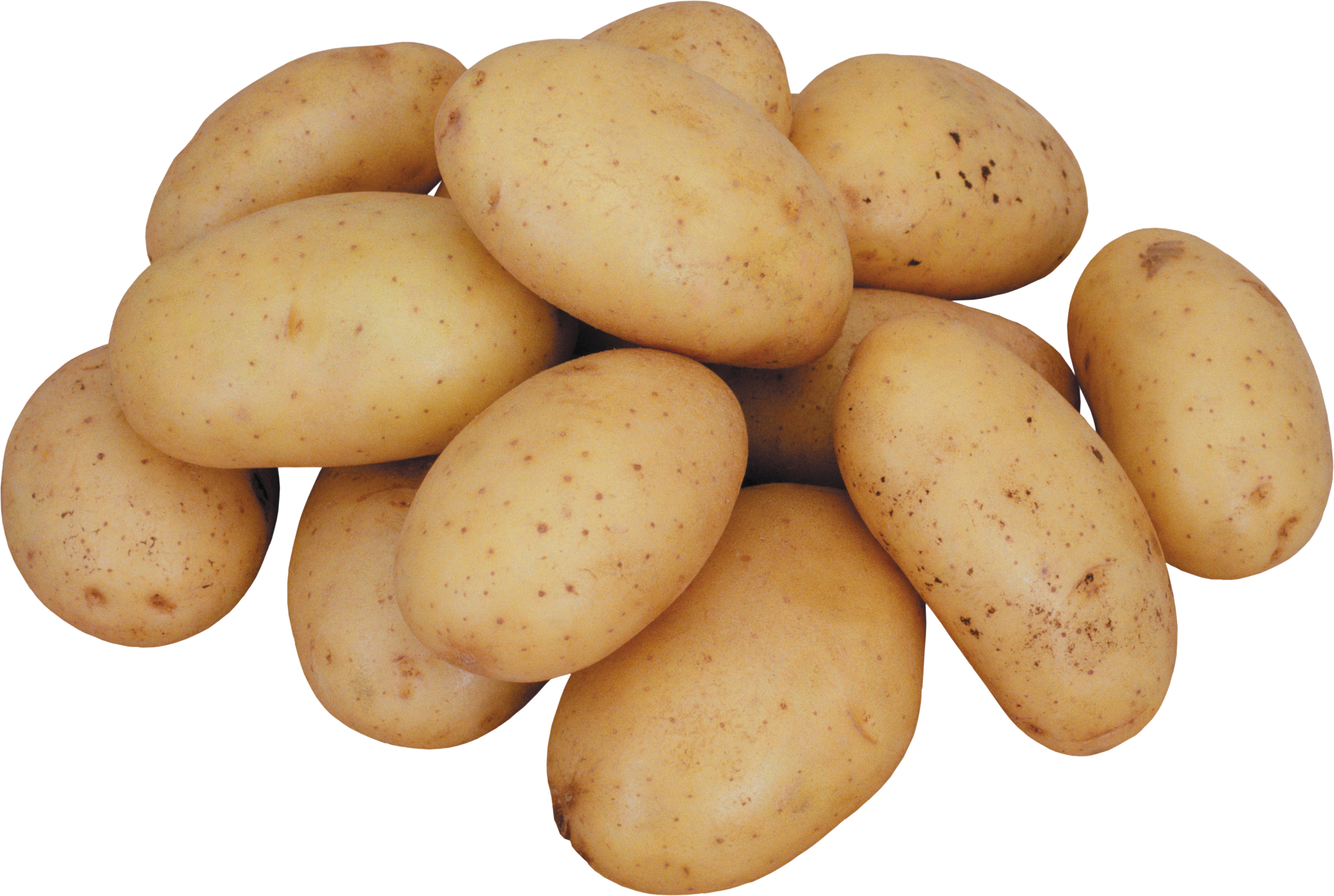 Potatoes picture. Картофель Атлант. Сорт картофеля Атлант. Картофель сорт доната. Картофель сорт Сантана.