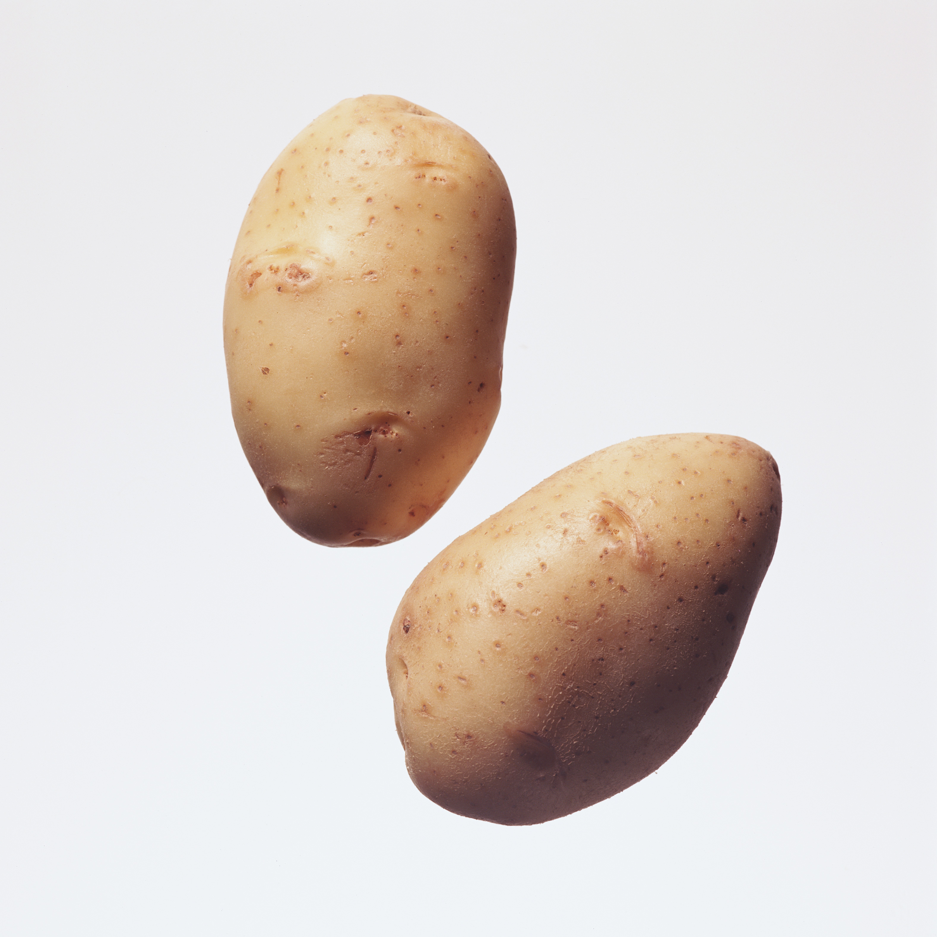 Potatoes picture. Картофель. Сырая картошка. Кариодель. Картошка картинка для детей.