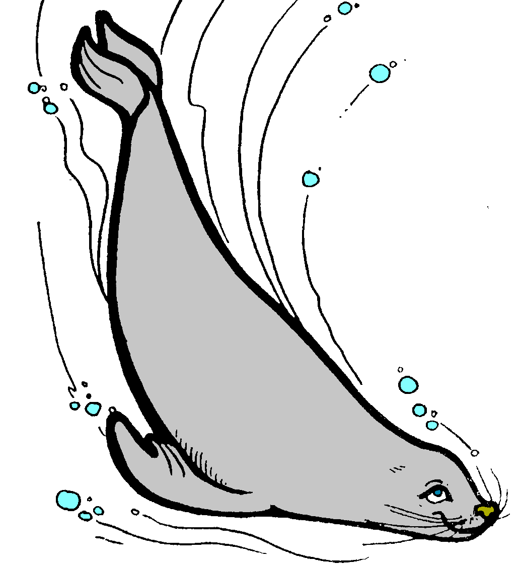 Ныряющий тюлень